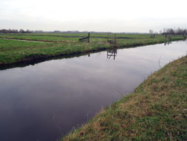Een echte polder